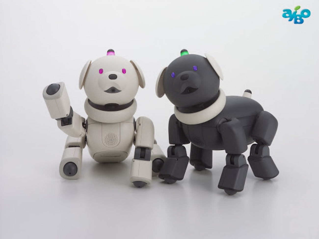 Aibo Leg Tremors and Head Tremors - Aibo-Repairs.com